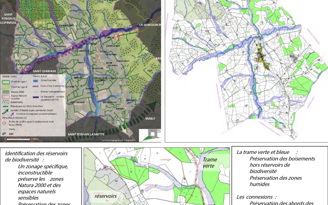 Révision de P.L.U. Prise en compte des enjeux environnementaux – Commune de Noailly (42)