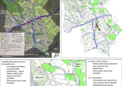 Révision de P.L.U. Prise en compte des enjeux environnementaux – Commune de Noailly (42)