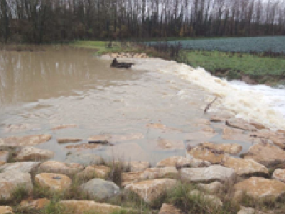 Schéma Directeur de Gestion des Eaux Pluviales de la Communauté de Communes du Pays de Bâgé (01)