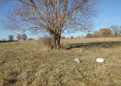 Plan de gestion des zones humides et espaces naturels de la ZAC ACTIVAL sur le territoire de la commune des Olmes (69)