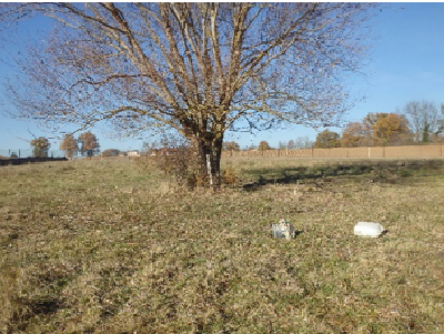 Suivi de la qualité des eaux brutes de la commune de Nuits-Saint-Georges (21)