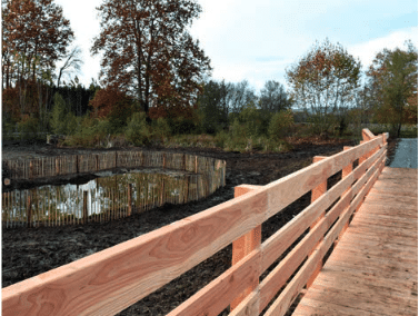 Restauration de la zone humide de la petite Saône à Trévoux (01)