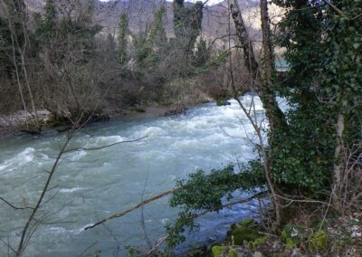 Actualités février réalités environnement
