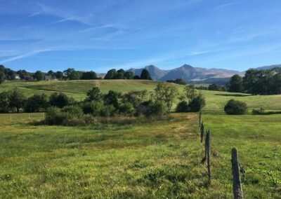 Réglementation des boisements – Secteur d&rsquo;Artense (63)