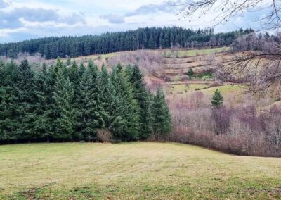 Réglementation des boisements – Secteur des Bois Noirs (63)