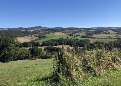 Réglementation des boisements – Secteur Issoire (63)