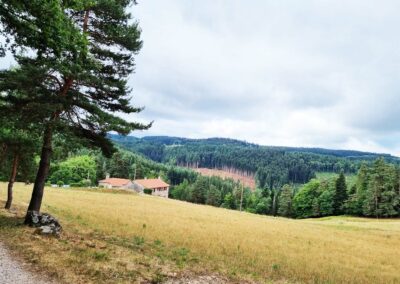 Réglementation des boisements – Secteur de Montfaucon (43)