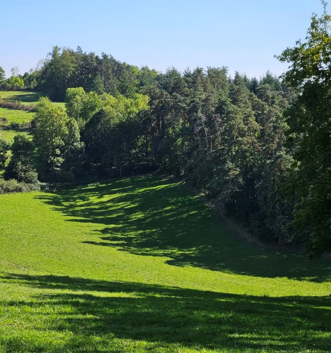 reglementation-des-boisements2