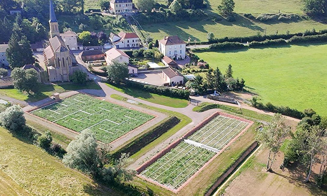 Assainissement – Création d&rsquo;une station de traitement des eaux usées type filtres plantés de roseaux 1 100 EH – Commune de Saint-Denis-de-Cabanne (42)
